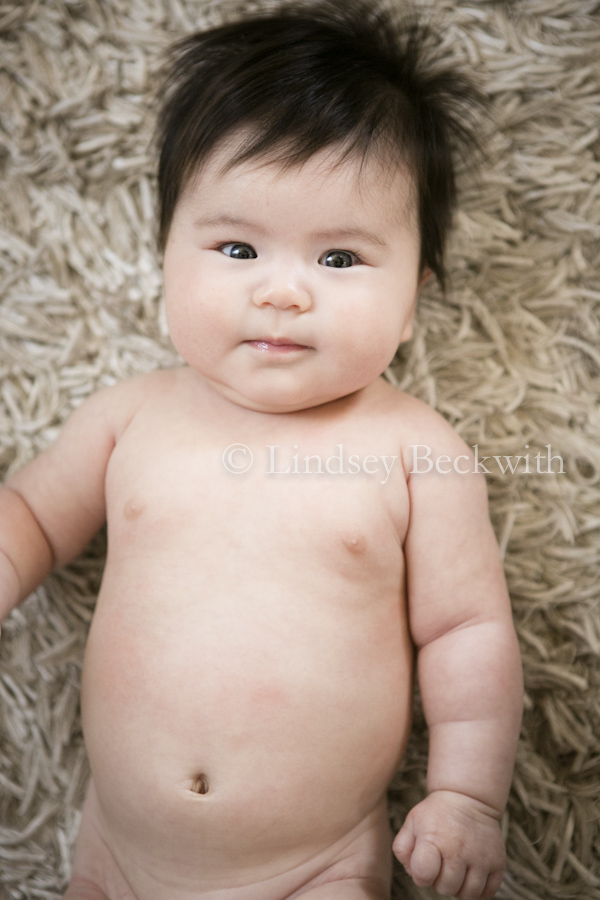 modern contemporary baby portraits